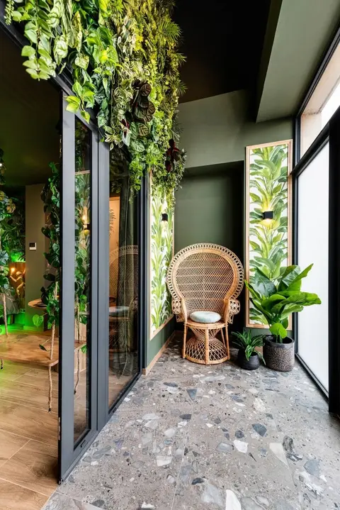 Suite Jungle