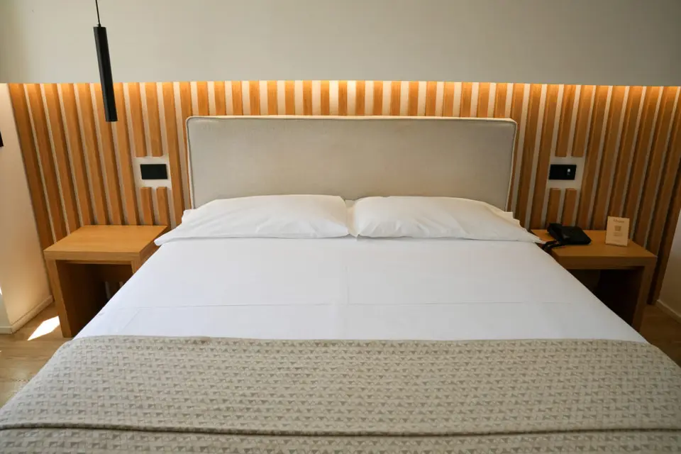 Hotel Plana