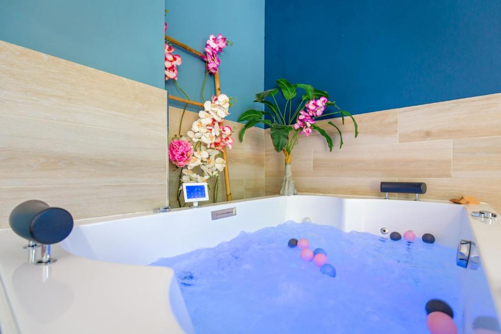 Appartement Jacuzzi Love Room